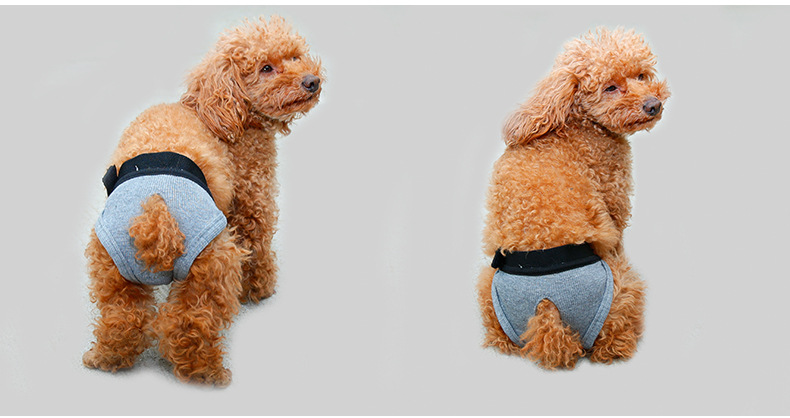 狗狗经典生理裤泰迪金毛安全裤卫生裤母狗内裤宠物防骚扰月经裤