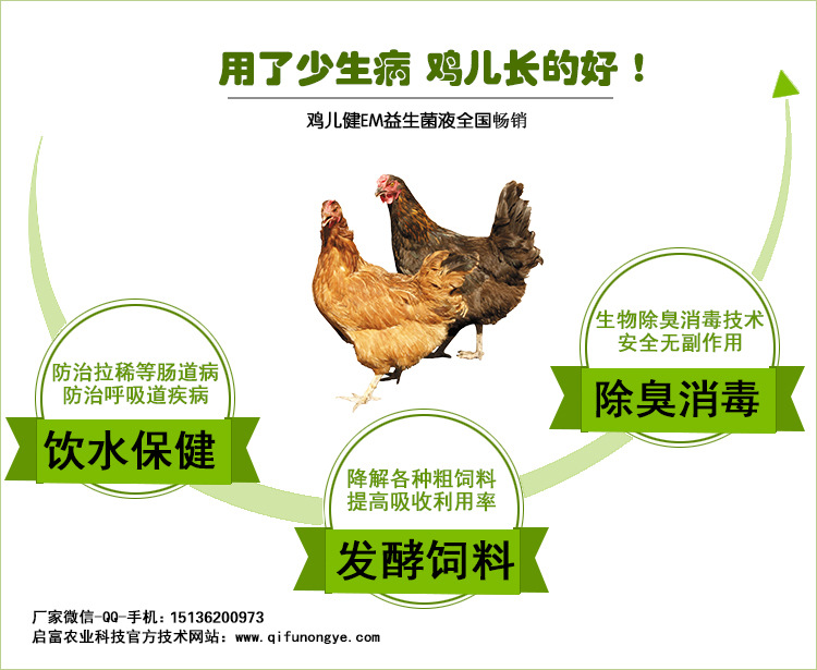 鸡饮水益生菌
