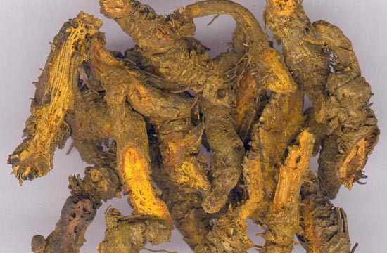 中药材批发 黄连 川连 姜连 川黄连 姜黄连 大货供应