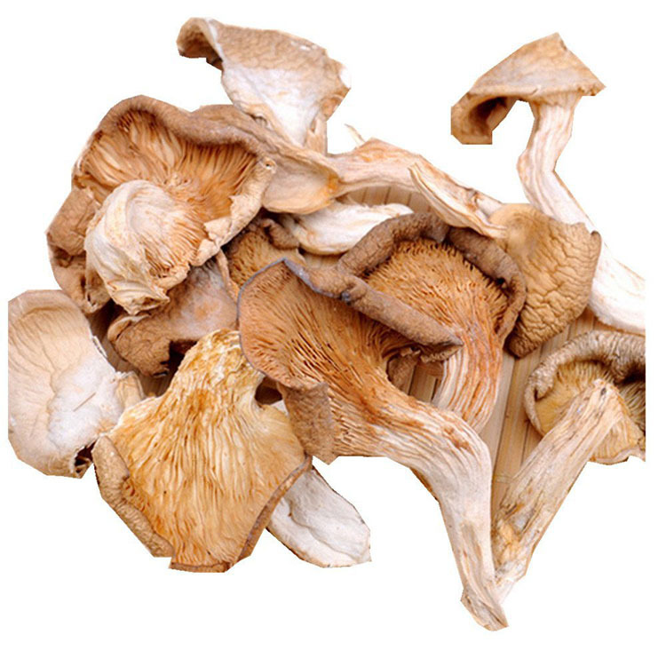 甘肃陇南农家土特产 优质真菌真姬干菇盒装礼品产地现货直销