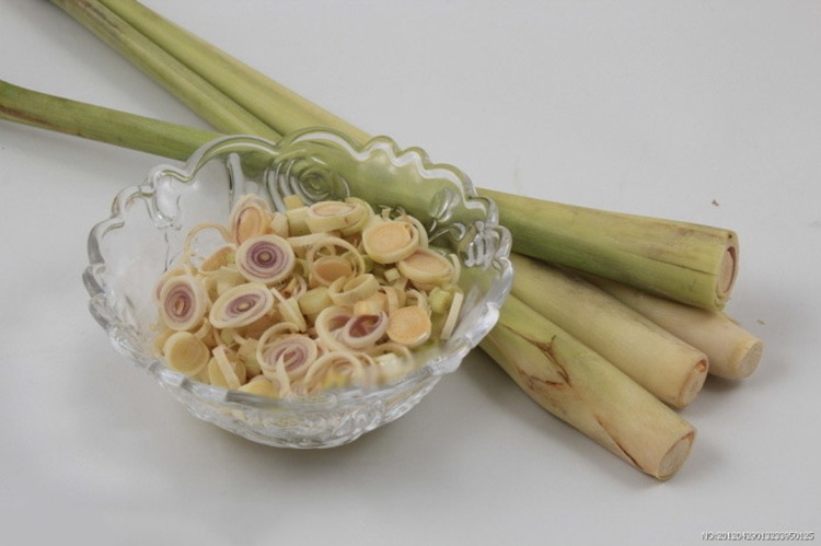 越南进口新鲜柠檬草香茅500g泰国酸辣虾冬阴功汤调料香料