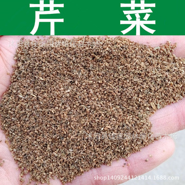 芹菜种子 胡芹种子 香芹 细芹菜种子 1件=1斤