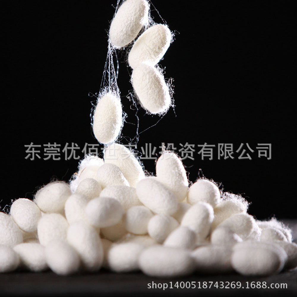 蚕蛹蛋白纤维针织面料 蚕蛹服装布料 高档针织内衣面料 - 纺织材料