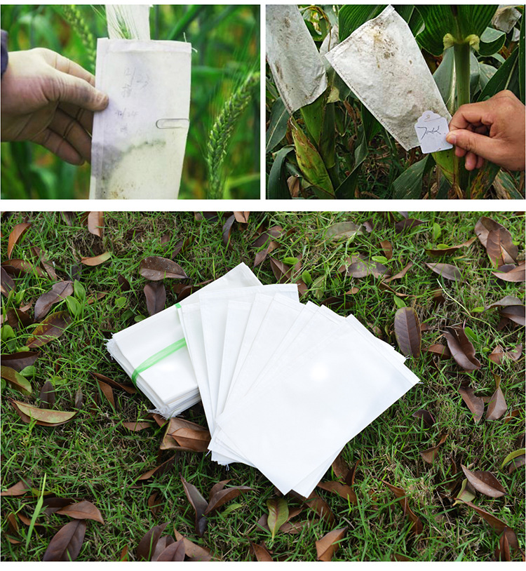 厂家直销防水羊皮纸袋 水稻小麦杂交袋 硫酸纸袋植物羊皮纸袋批发