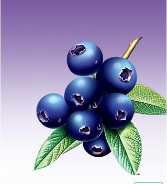 蓝莓果汁饮料 专业玻璃饮品代加工厂家