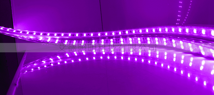 灯 投光灯 舞台灯 750_334 gif 动态图 动图