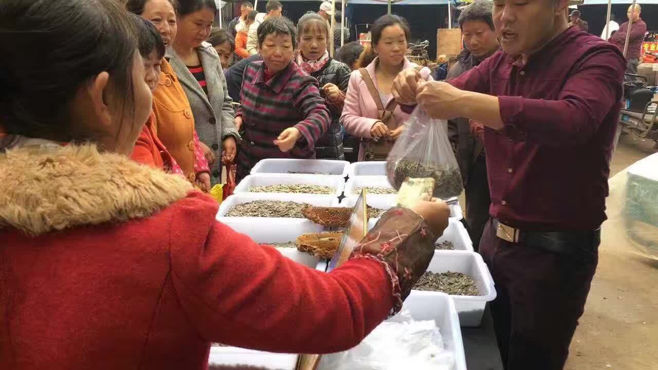 地摊展销会热卖炒货散装葵瓜子奶油五香瓜子批发 - 中国食品饮料批发