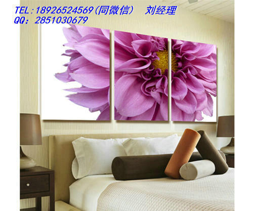 37220354_1407515301671_500x500