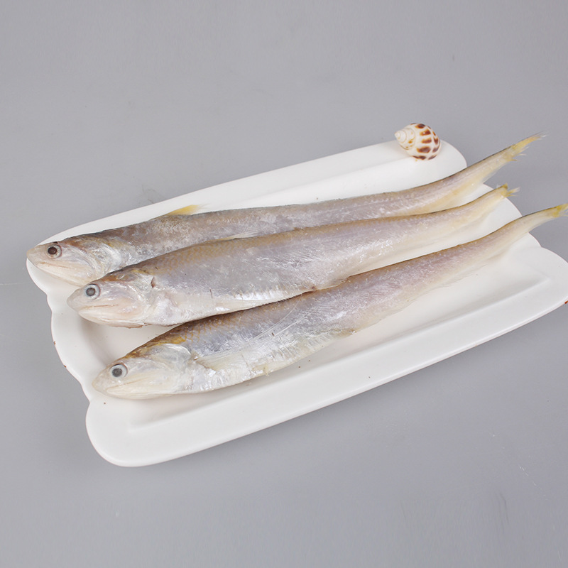 黄河刀鱼 新鲜水产品 鲜活刀鱼 山东特产 满百包邮