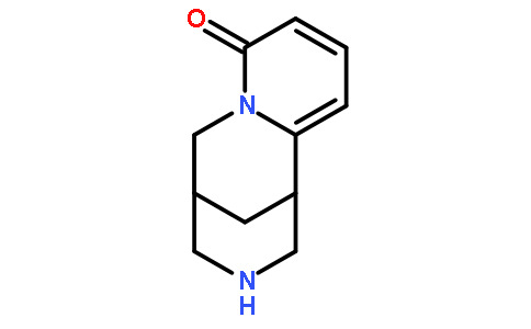 苦豆的功效和作用，清热解毒止痛