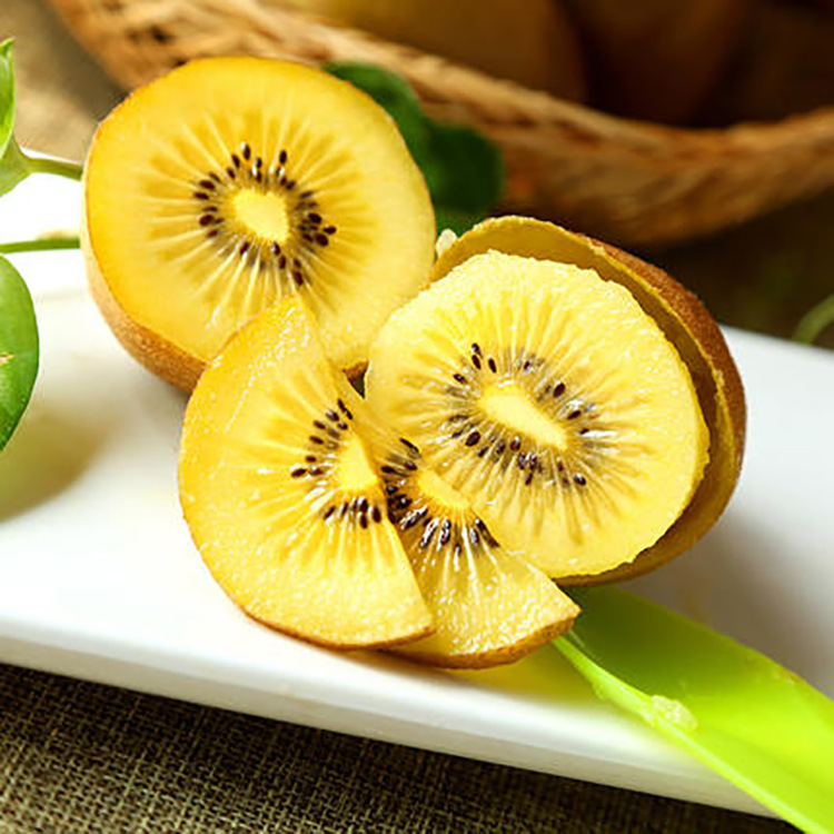 四川特产蒲江黄心猕猴桃 时令新鲜应季黄金奇异果现摘现发水果