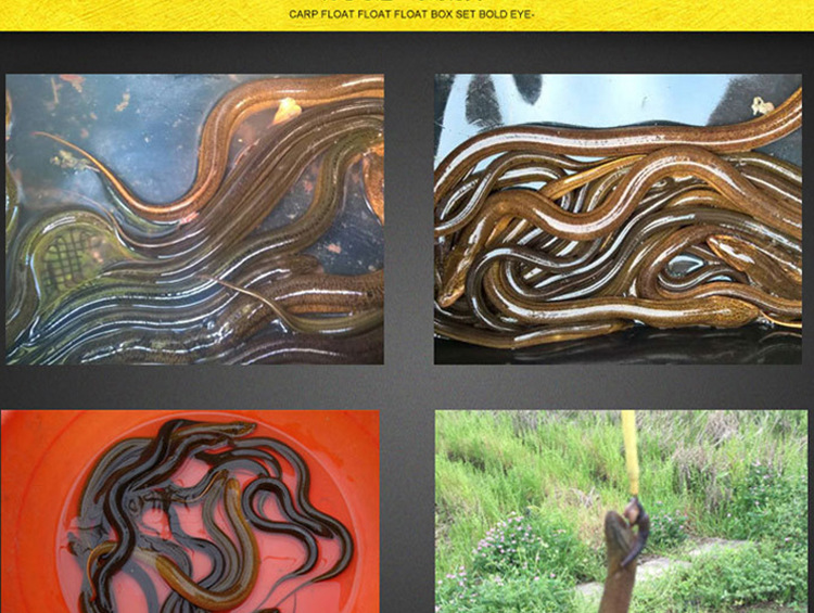 渔具批发 黄鳝引钩 不锈钢引条 探测器 黄鳝引钓 精品引钩