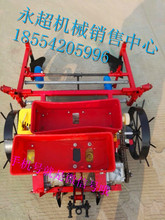 山东泰安玉米价格_今日最新山东泰安玉米价格