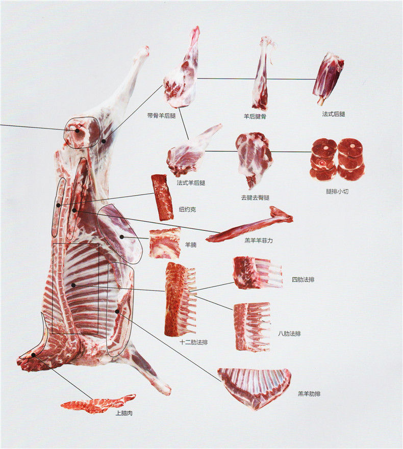 牛排,羊排,羊腿,羊蝎子,肥牛片, 羊肉卷,羊肉串,上脑,眼肉,牛仔骨等