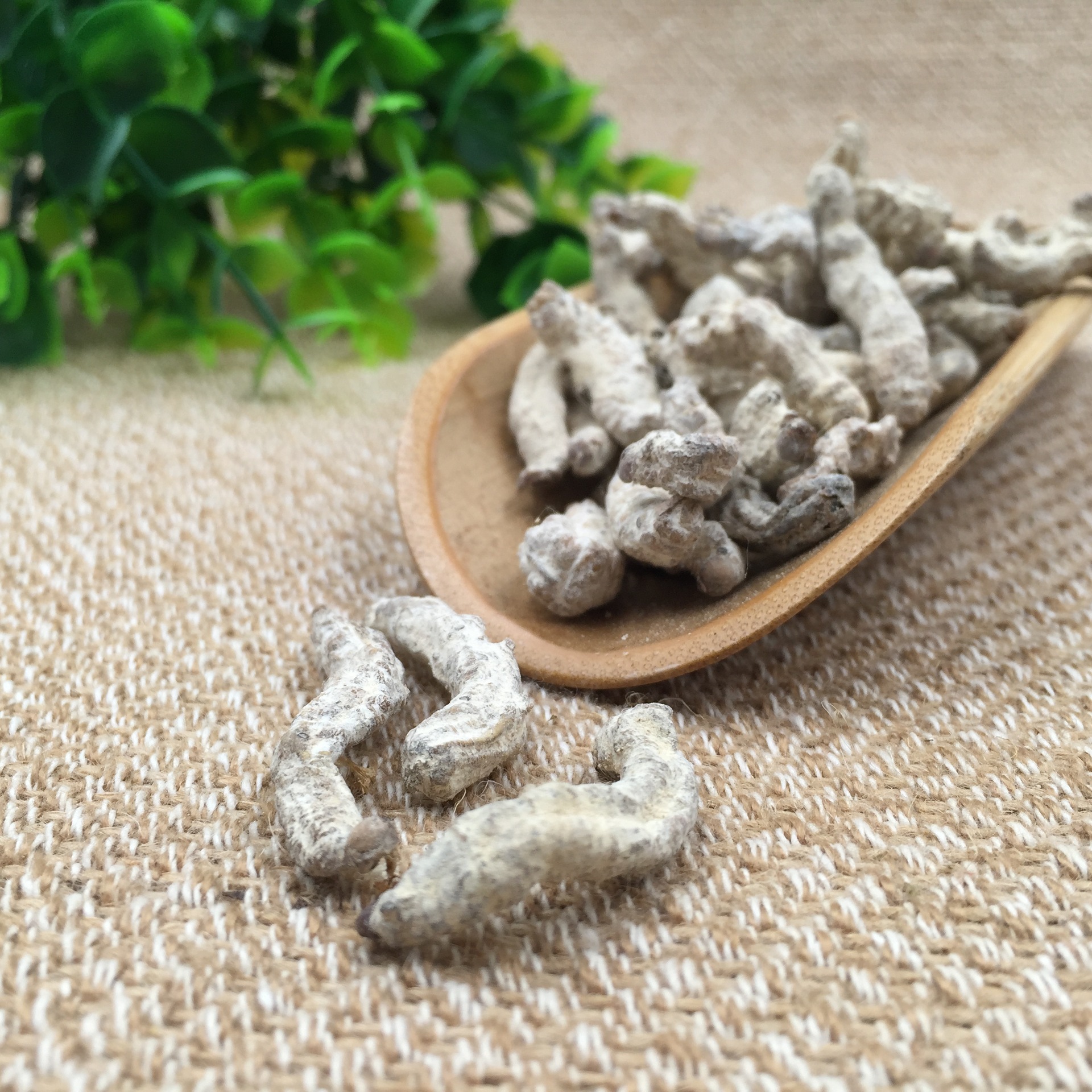 批发包邮正品中药材白僵蚕品质保障炒僵蚕支持检验药材磨粉