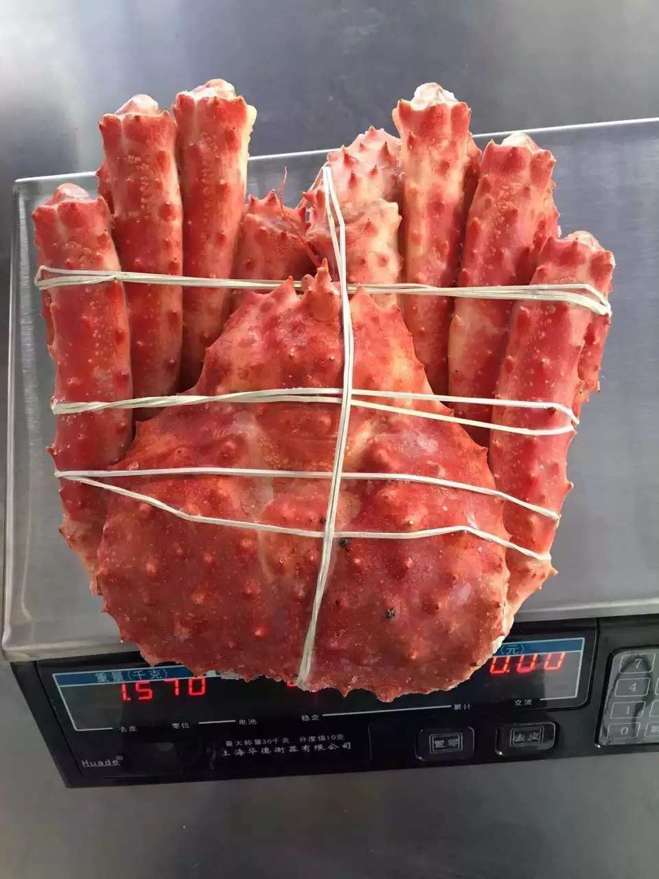 智利帝王蟹 熟冻帝王蟹 帝王蟹