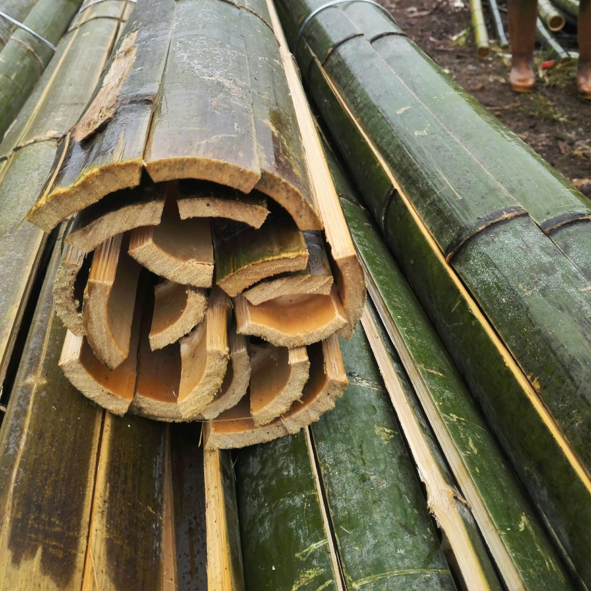 竹片 东北人参地专用竹片 全根节 肉质厚 韧性好正火热销售中