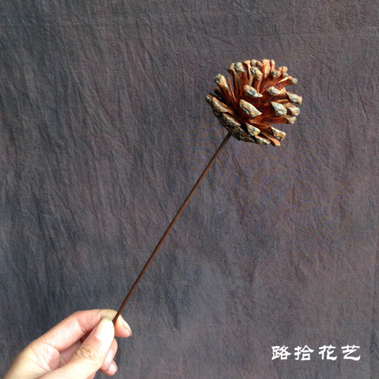 家居装饰禅意艺术拍摄道具天然手工diy松球摆件原生态松果干花