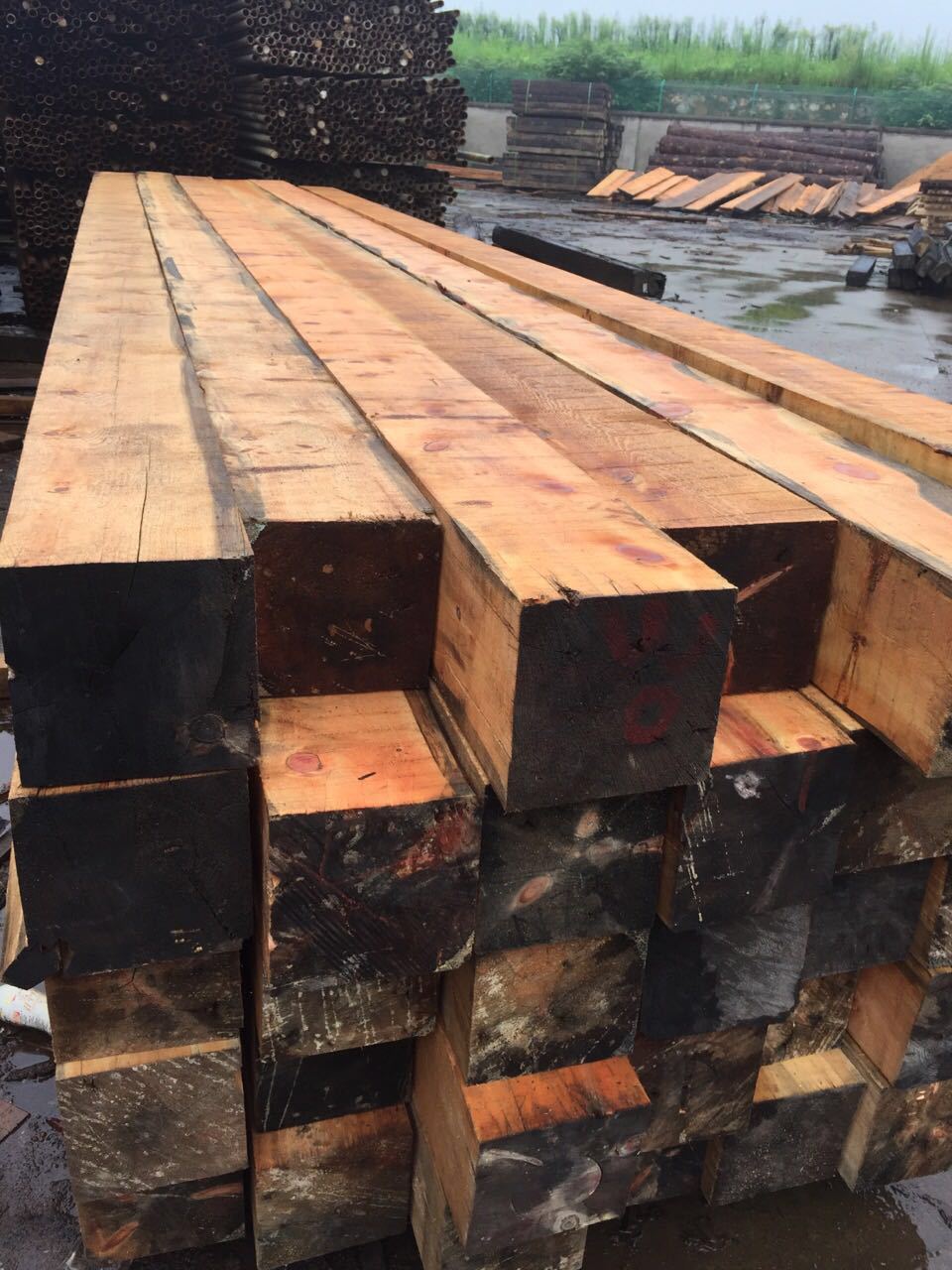 红松 正宗东北红松 园木古建寺庙用材 东北红松