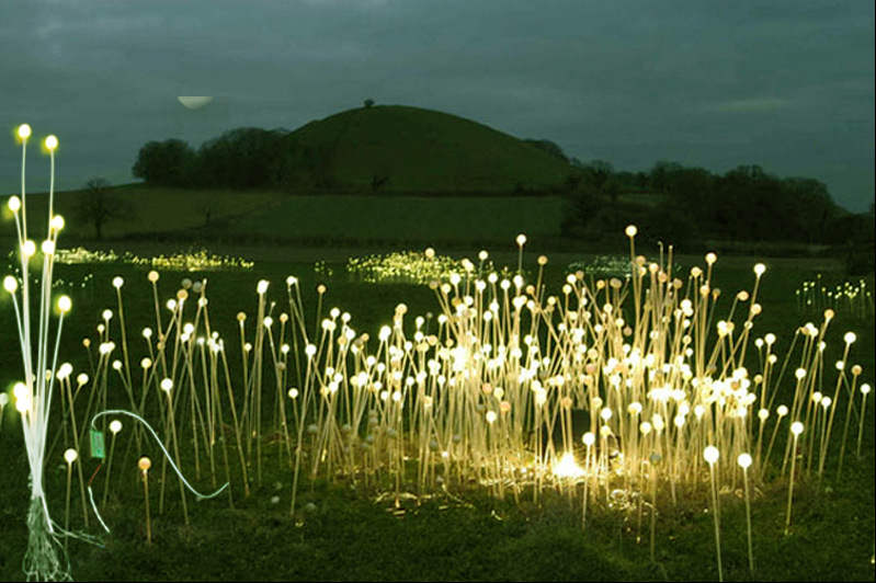圆球插地灯芦苇灯仿生灯夜景亮化圆球草地灯球形景观-其他室内灯具