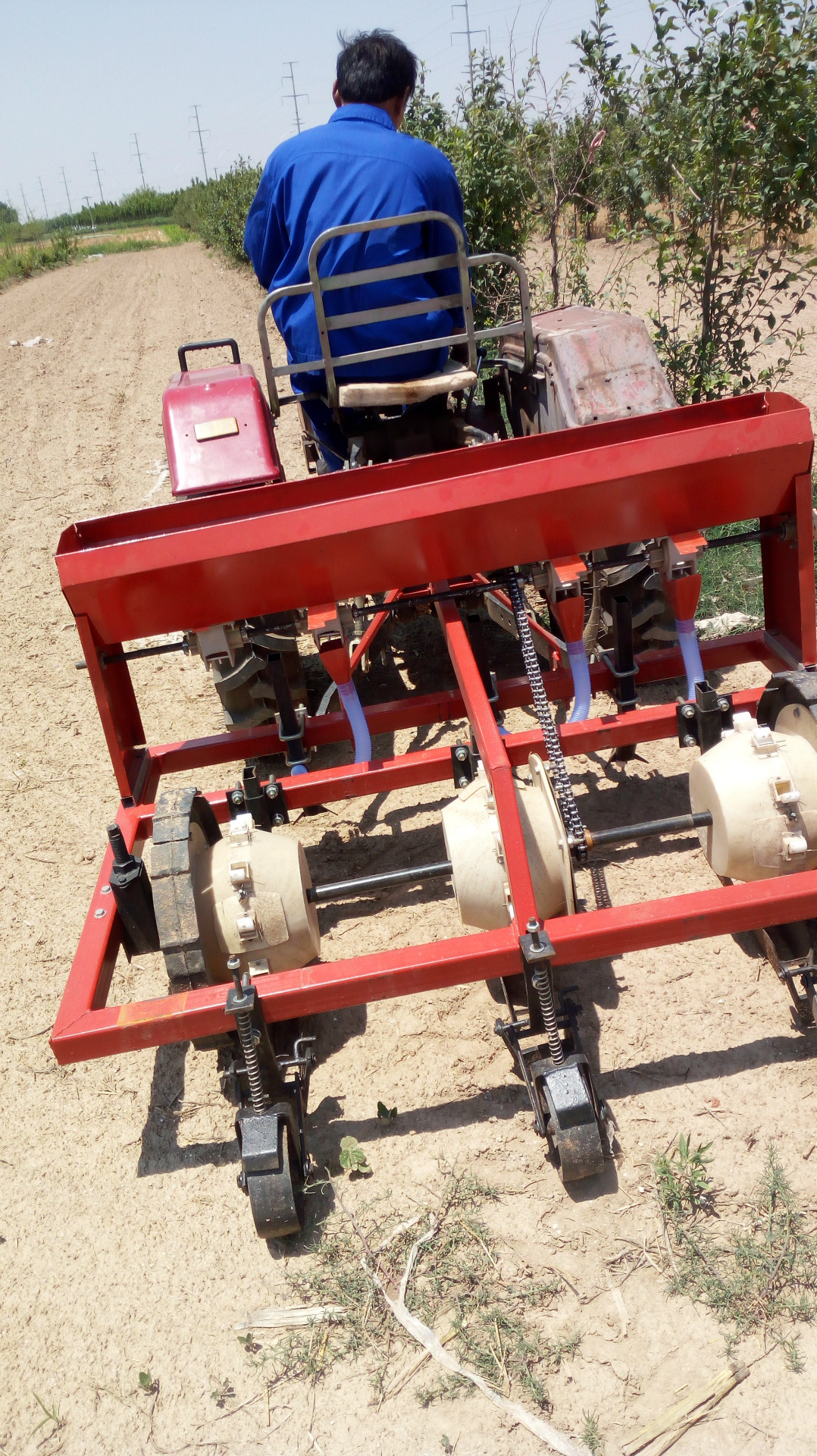 新型油葵播种机油葵覆膜机油葵穴播机视频