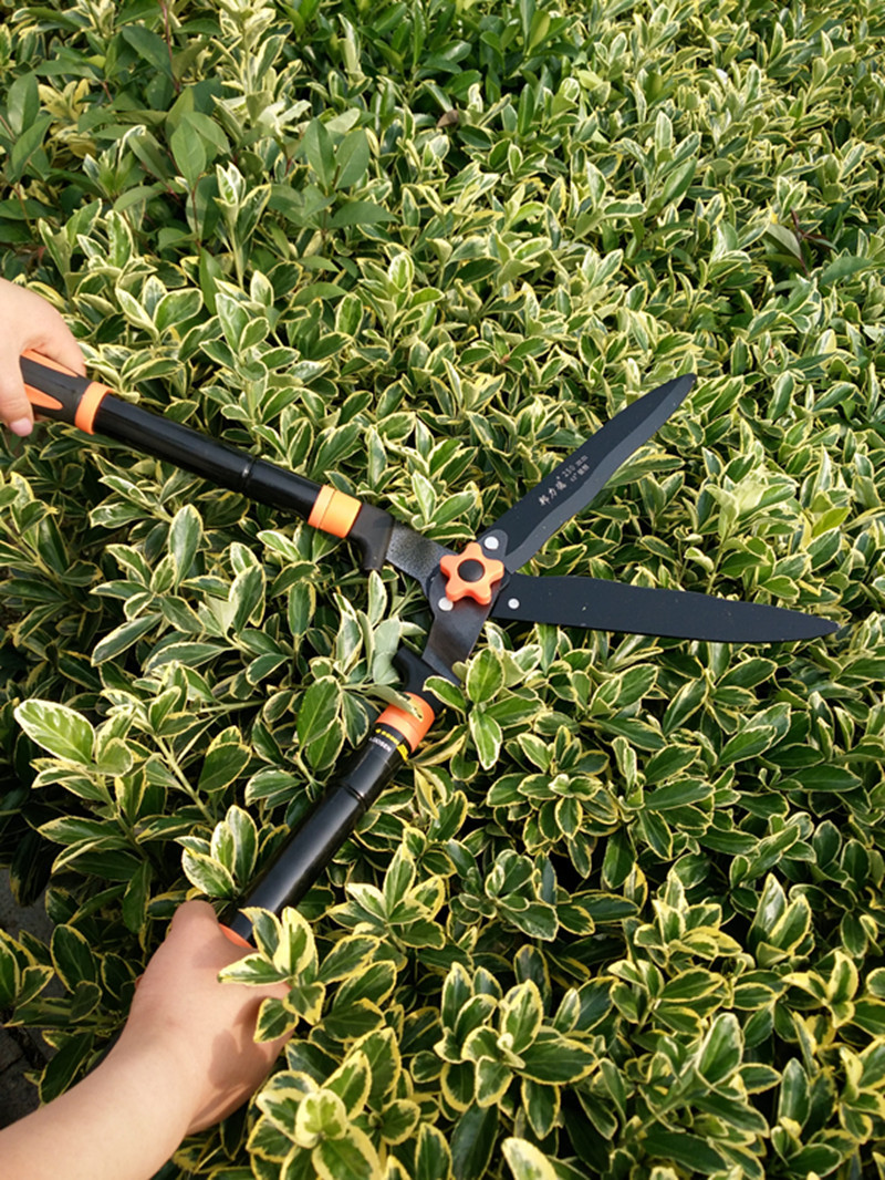 久丰双色柄整笆剪 草坪剪 园艺大剪刀 绿篱剪 园林绿化修枝剪刀