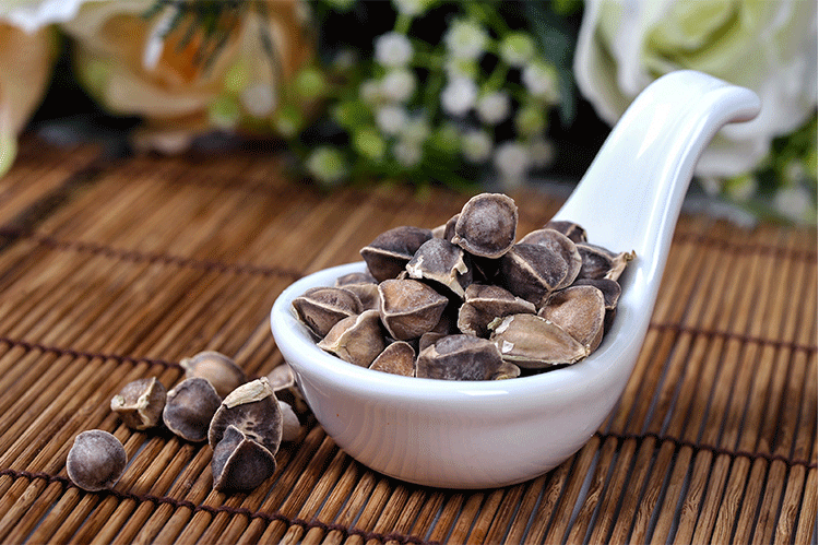 印度辣木籽中小粒(统货筛除了大粒的,经济实惠):50