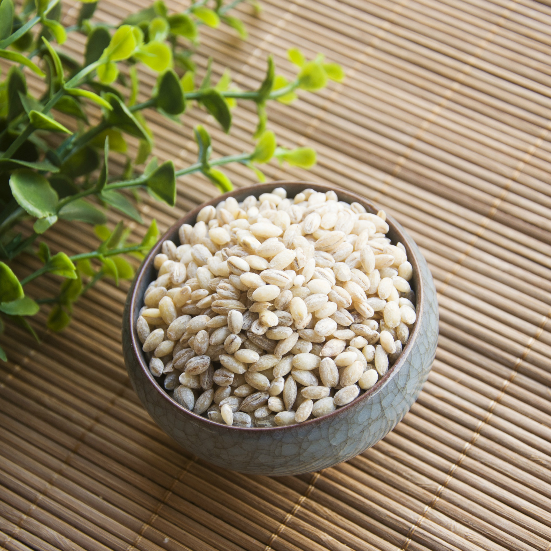 脱皮大麦仁 洋苡米 有机麦仁 五谷杂粮批发