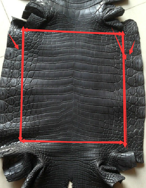 鳄鱼皮的品种优劣区分