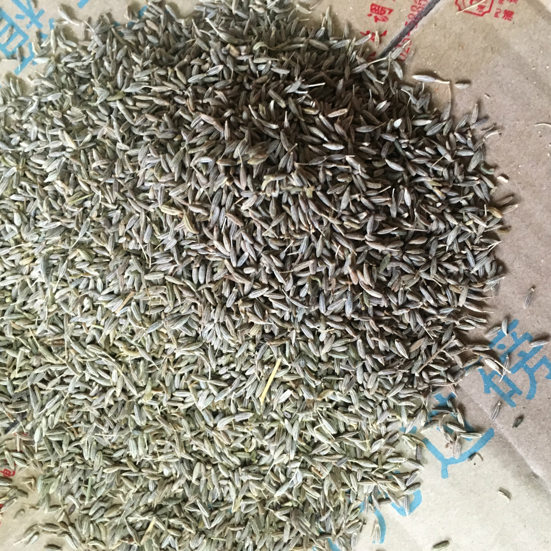 孜然 产地直销烧烤料卤料包调料包火锅料龙虾料香辛料