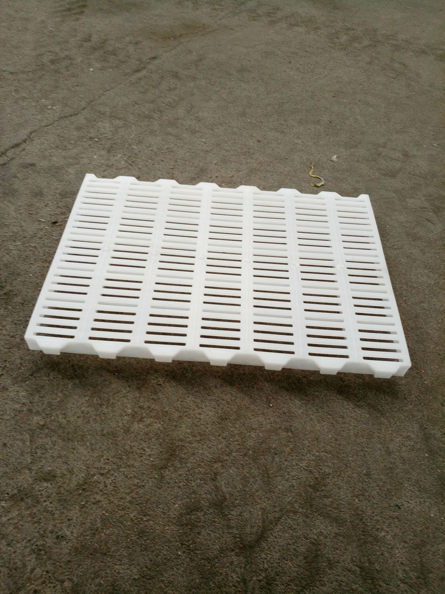 猪用漏粪板厂家直销猪产床专用塑料地板