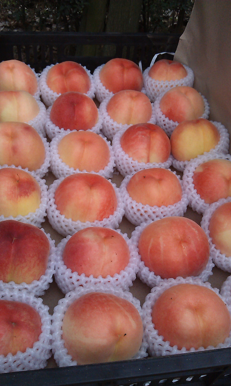 新鲜水果批发4两左右一箱12个踢球山新鲜水果水蜜桃毛桃