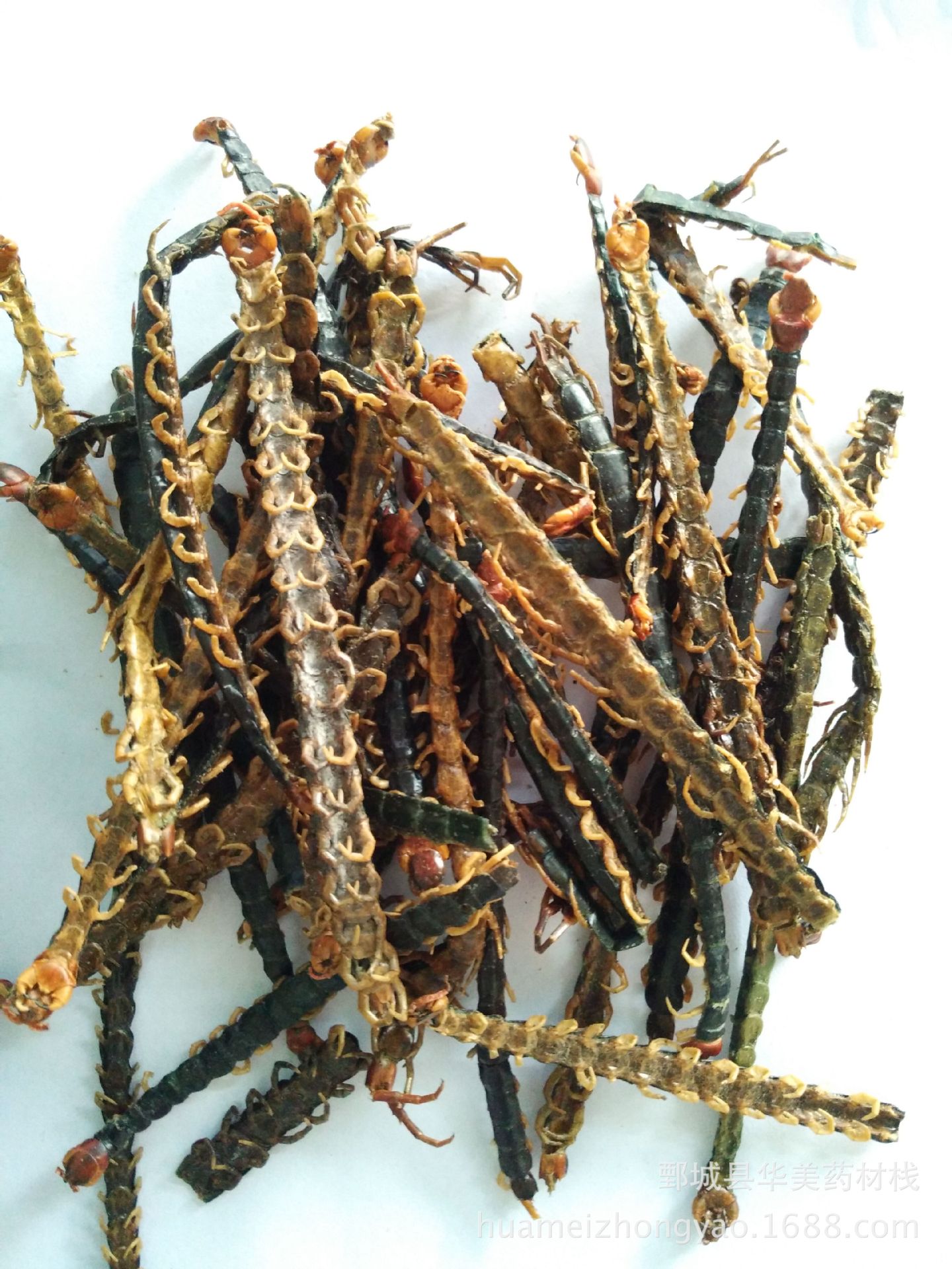 华美中药材批发 产地直销 蜈蚣