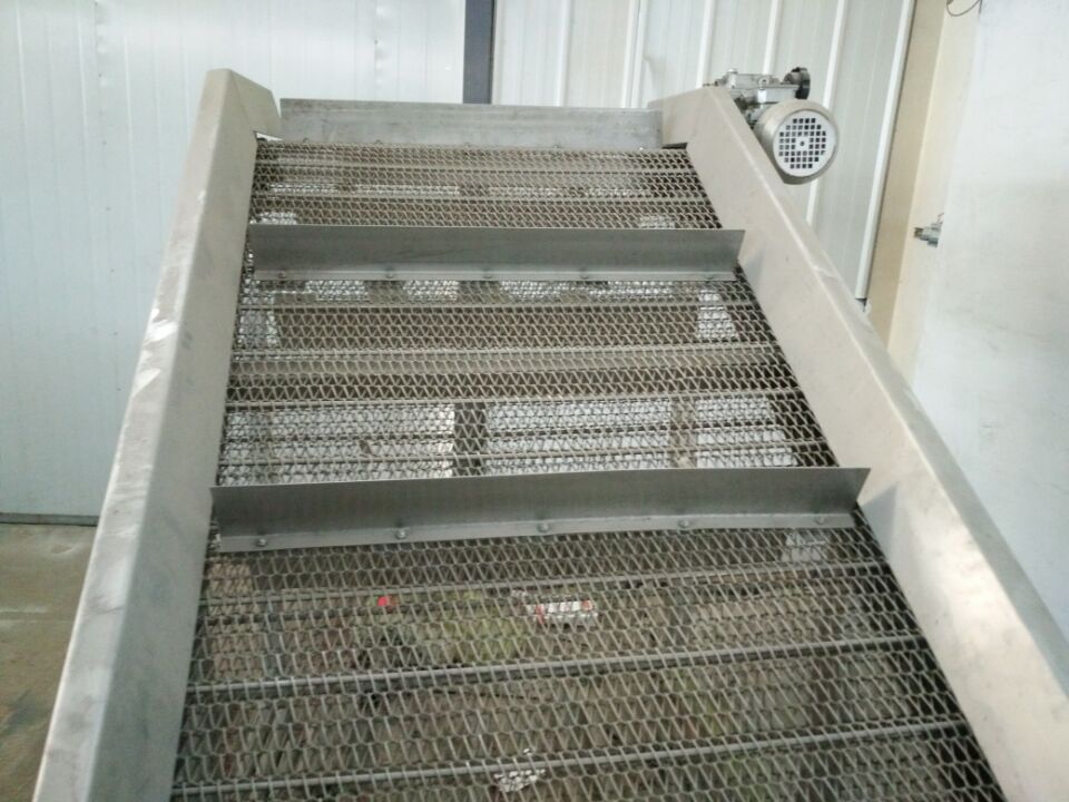 【厂家促销】新型全自动网链提升输送机 果蔬加工设备 网链输送机