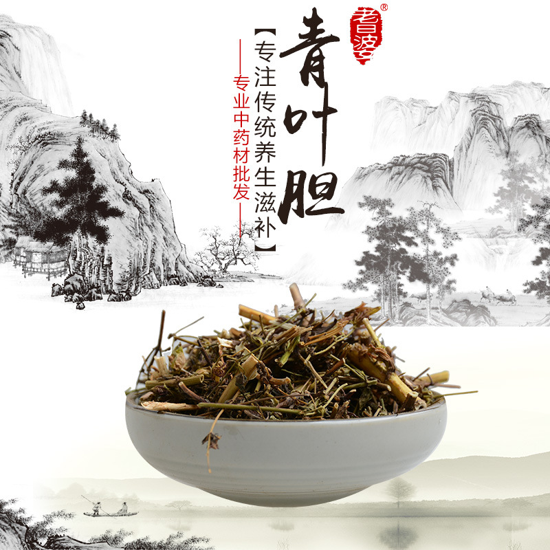 青叶胆中草药批发小青鱼胆七疸药