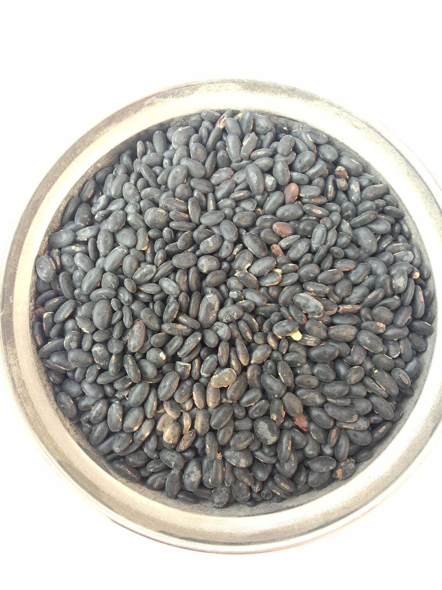 供应优质优价扁黑豆黑黑豆长腰形黑豆