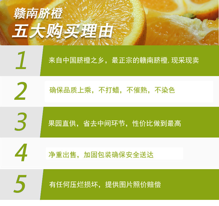 精品果20斤装赣南脐橙正宗橙子新鲜水果批发诚招全国橘子代理