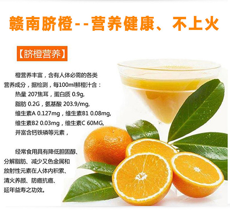 预售江西赣州正宗赣南脐橙包邮果园直发新鲜橙子11月10日