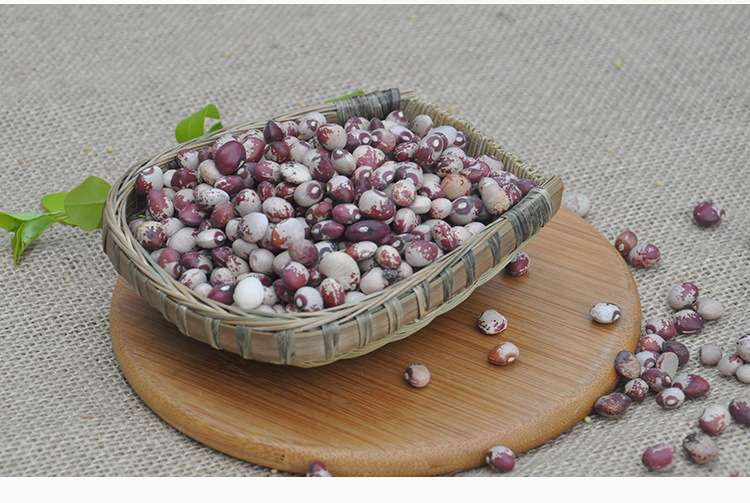 农家熊猫豆500g猫眼豆散装非转基因五谷杂粮豆类粗粮芸豆批