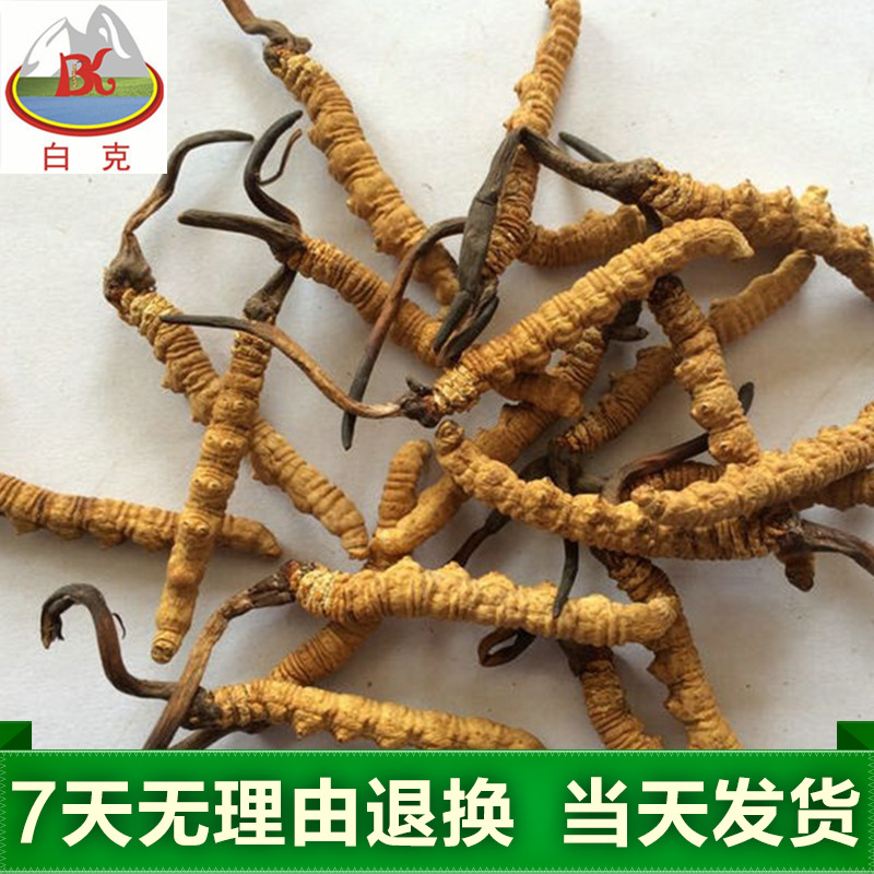 高级补品_高级补品供应商_高级补品批发市场