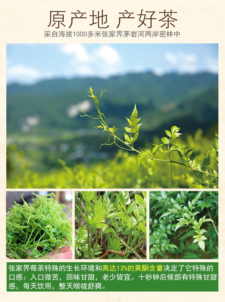 莓茶嫩芽藤茶茅岩河莓茶长寿藤甘露土家神茶新芽