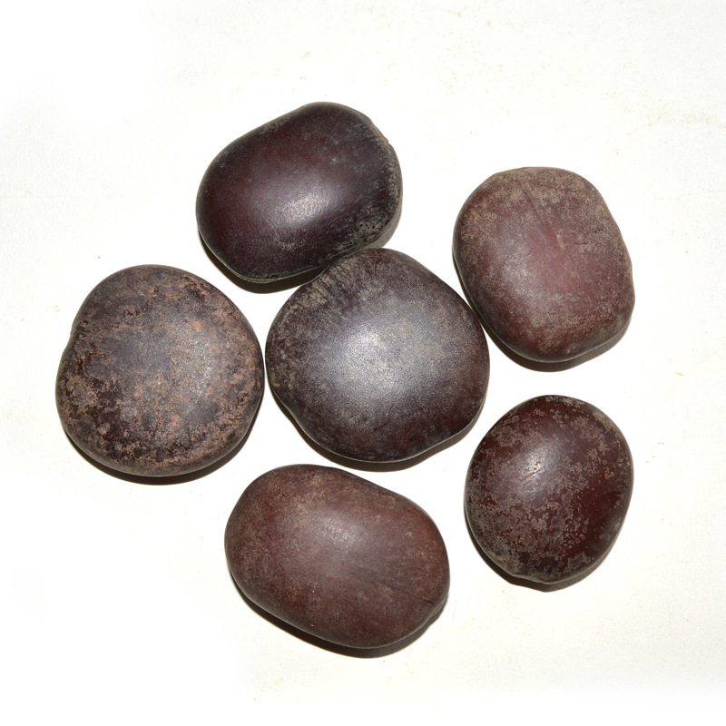 灵芝之家 过江龙子 木腰子 产地直销 一手货源批发