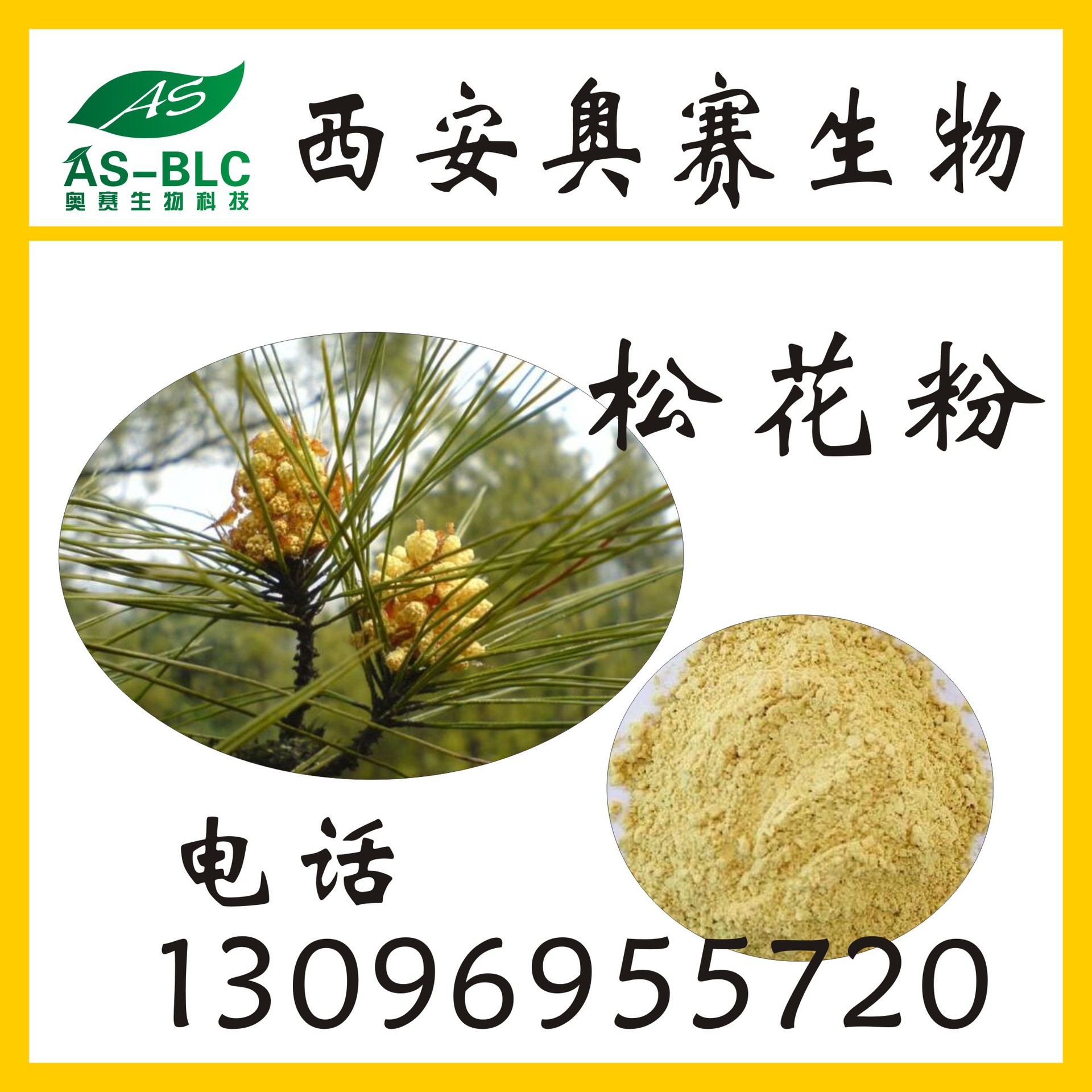 松花粉植物萃取松花粉98批发销售1公斤起