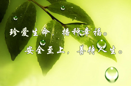 生命诚可贵