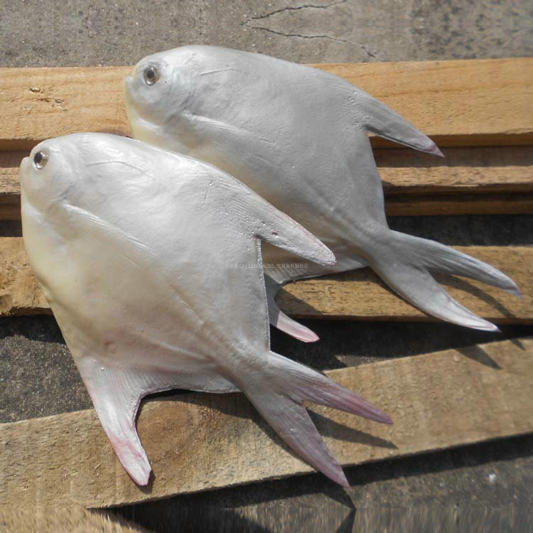 仿真pu手感鲳鱼儿童玩具假鱼假肉拍摄道具海洋馆装饰海鲜模型道具