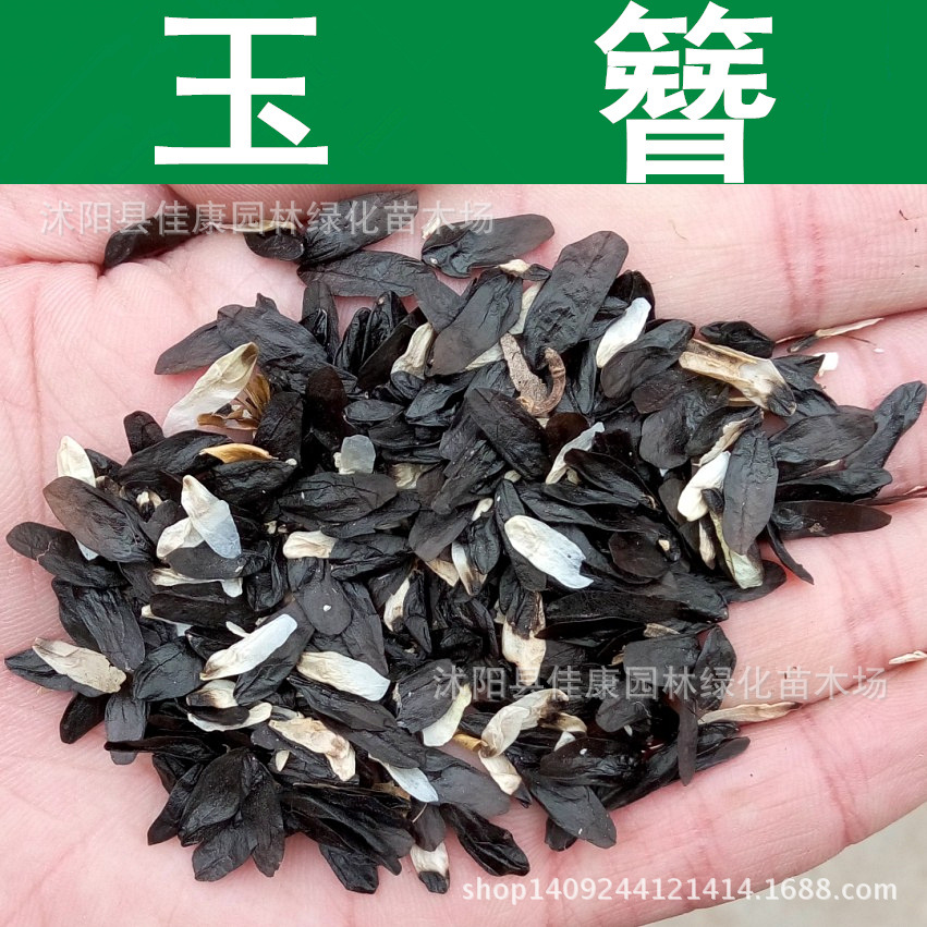 玉簪花种子白萼玉泡花白鹤仙白鹤花白紫玉簪种子1件1斤