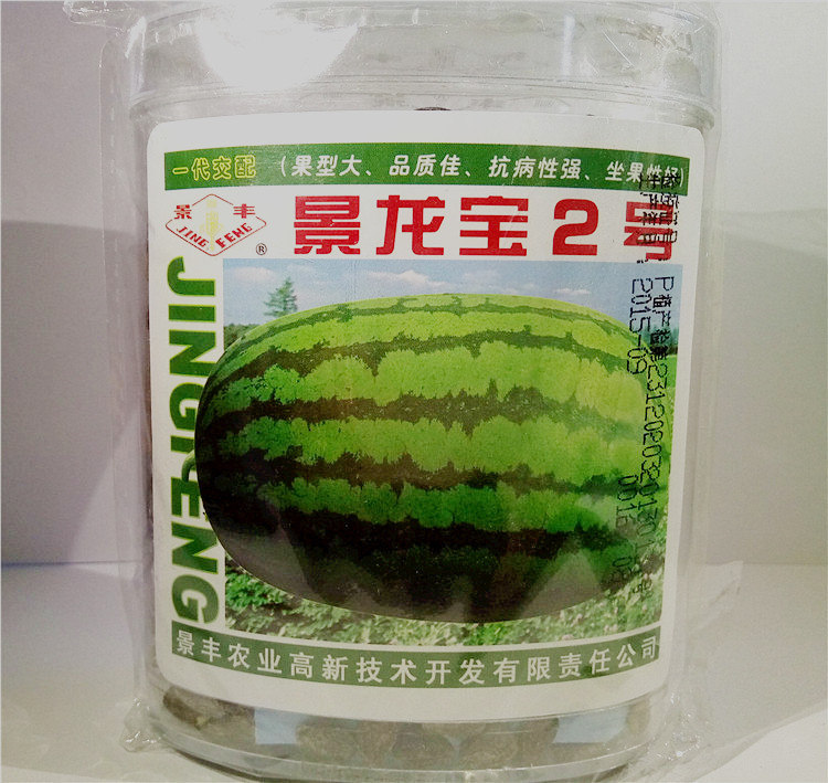 景丰农业正品景龙宝2号西瓜种子超特大高产易种植基地观光西瓜籽