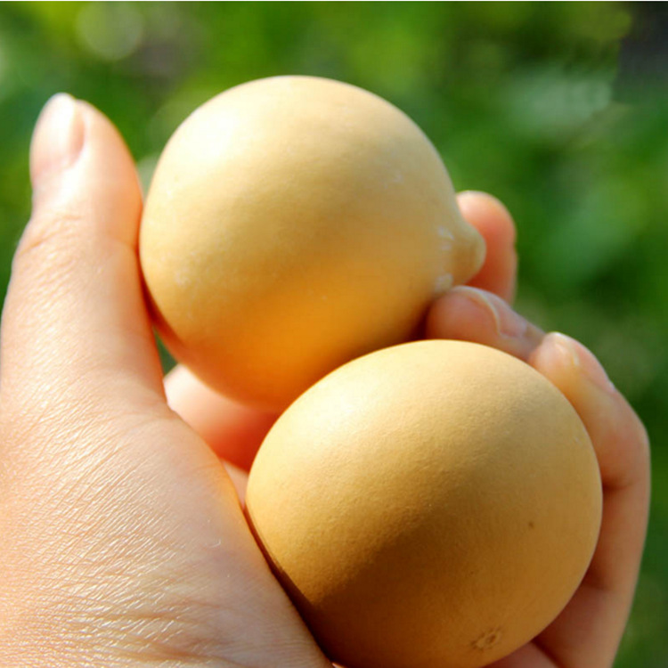 厂家直销天然兰州鸡蛋葫芦批发工艺葫芦烙画葫芦练习制作大量批发