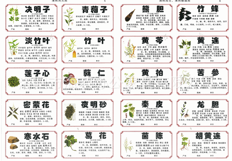 药材种类的图片及名称图片