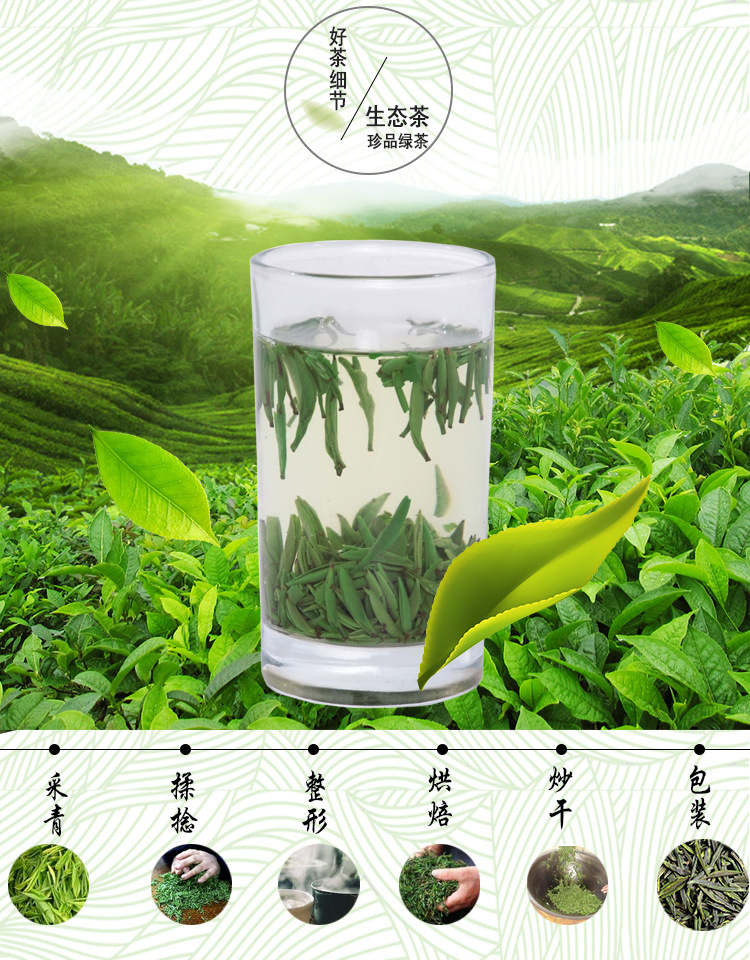 茶叶2016梁野翠芽 厂家批发散装 福建特产 武平绿茶纯.